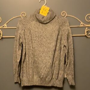 #15 Karen Scott Turt.sweater